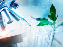 Forschung und Entwicklung